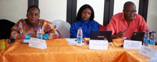 Integration du Genre dans les projets_Onufemmes (6)