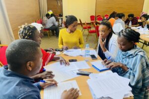 Formation de prestataires sur la collecte des données VBG (10)