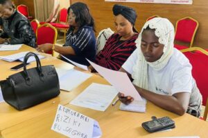 Formation de prestataires sur la collecte des données VBG (5)