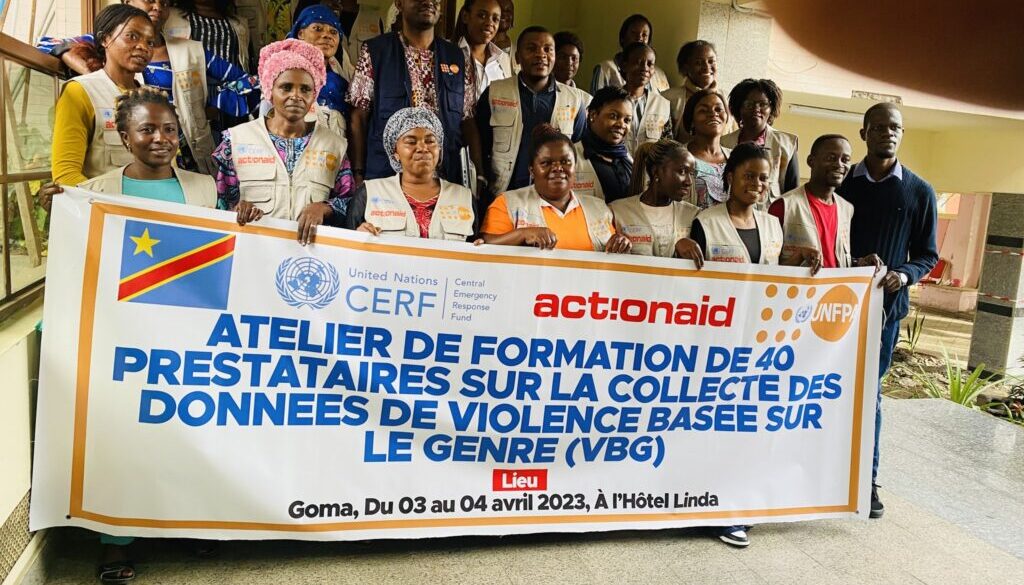 Formation de prestataires sur la collecte des données VBG (6)