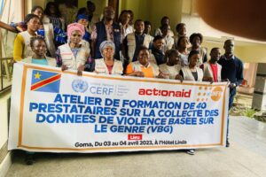 Formation de prestataires sur la collecte des données VBG (6)